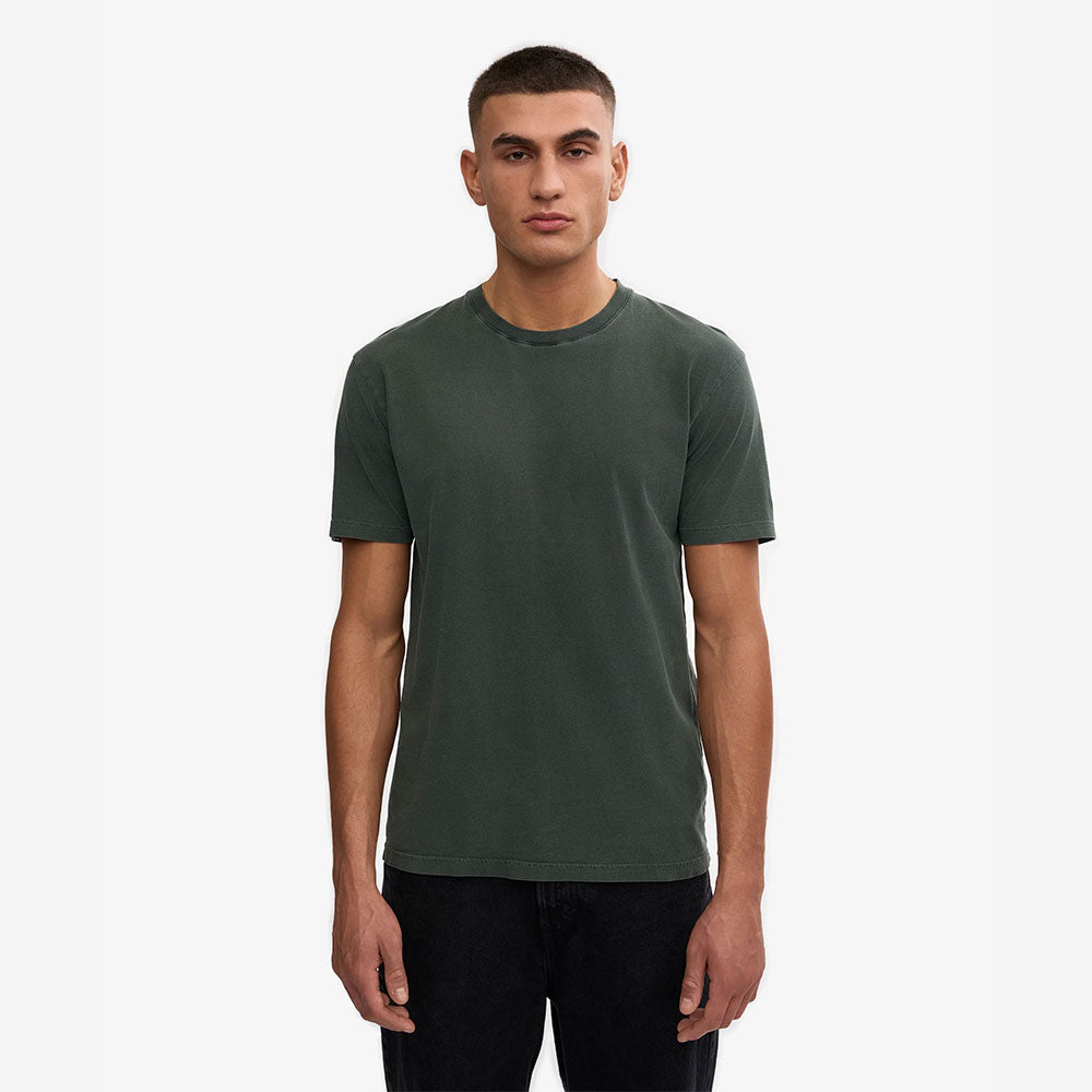 Classic Organic Tee - Midnight Forest