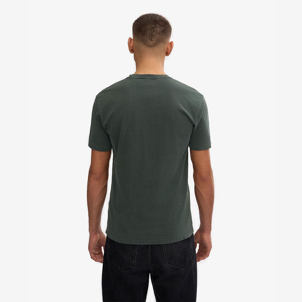 Classic Organic Tee - Midnight Forest