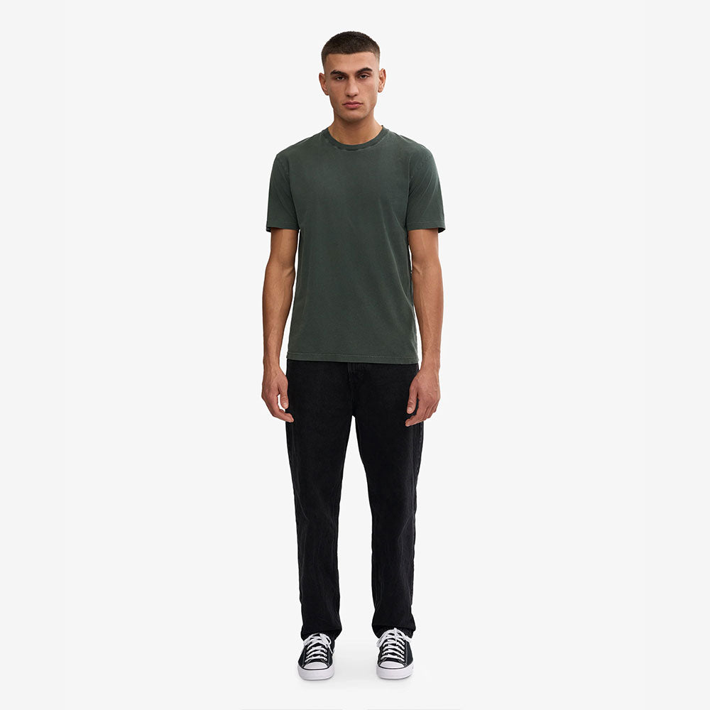 Classic Organic Tee - Midnight Forest