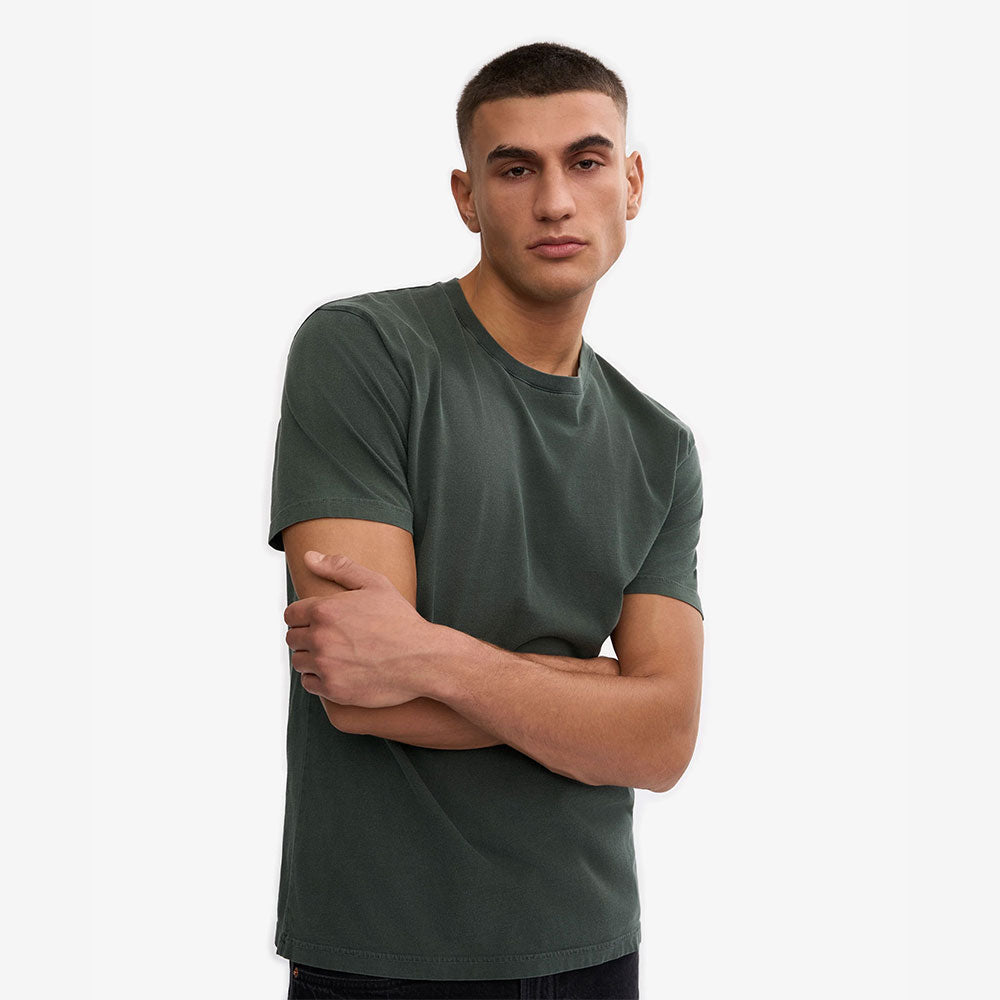 Classic Organic Tee - Midnight Forest