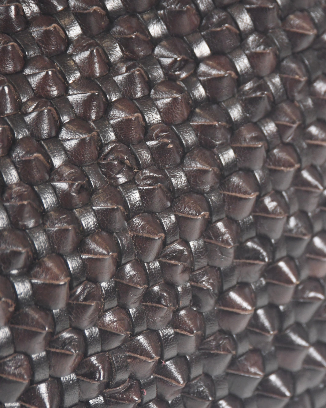 Basil Cactus - Dark Brown