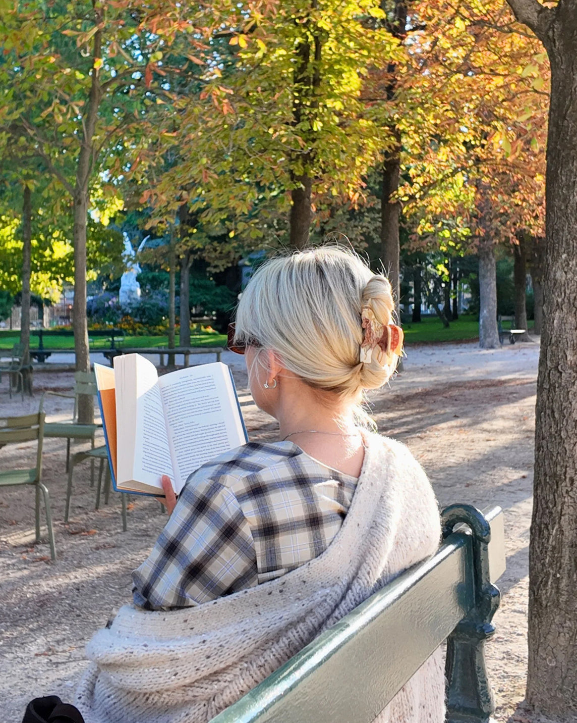 Horse Hair Clip - Brown