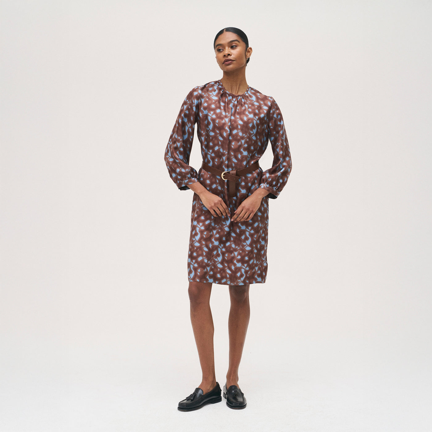 Silk Round Neck Dress - Light Blue/Brown