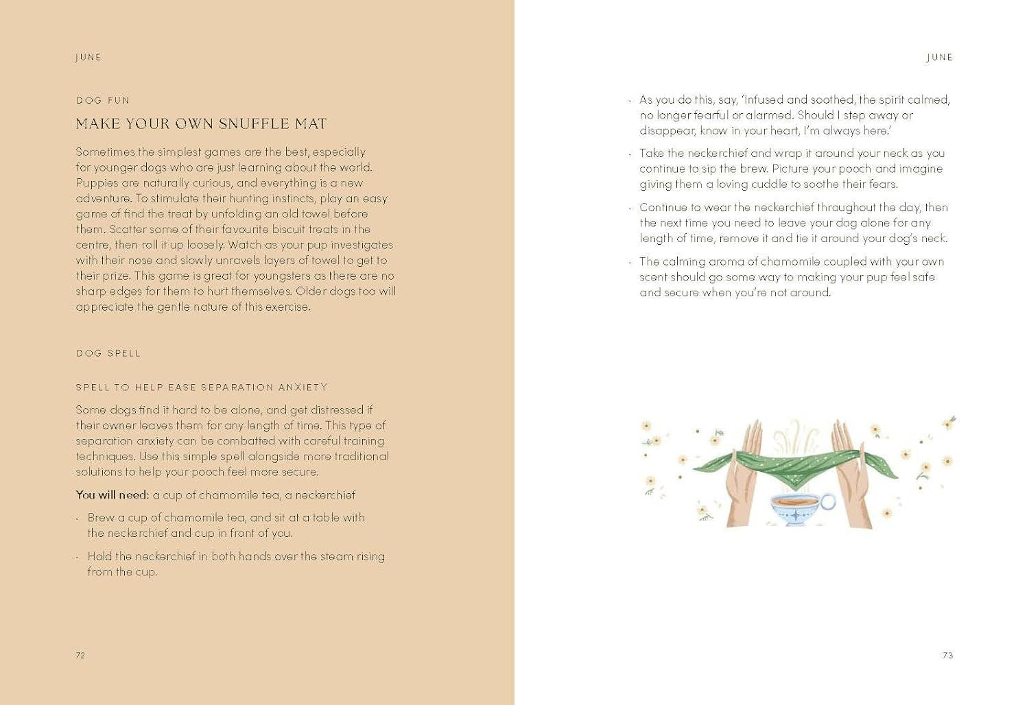 Dog Year: Dogs Magic Nature And Spells