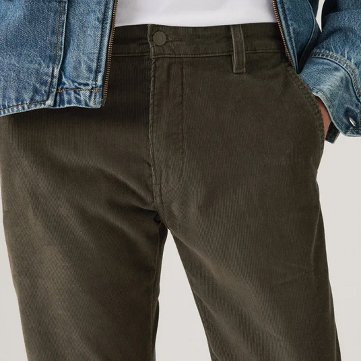 Xx Chino Std ii - Black Olive Cord