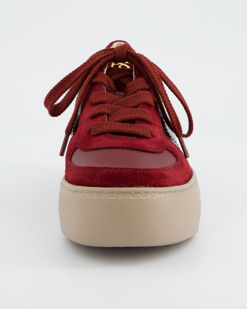 Platform Trainer - Red