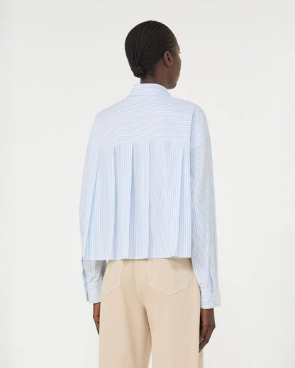Eden Cotton Stripe Pleated Back Shirt - Light Blue