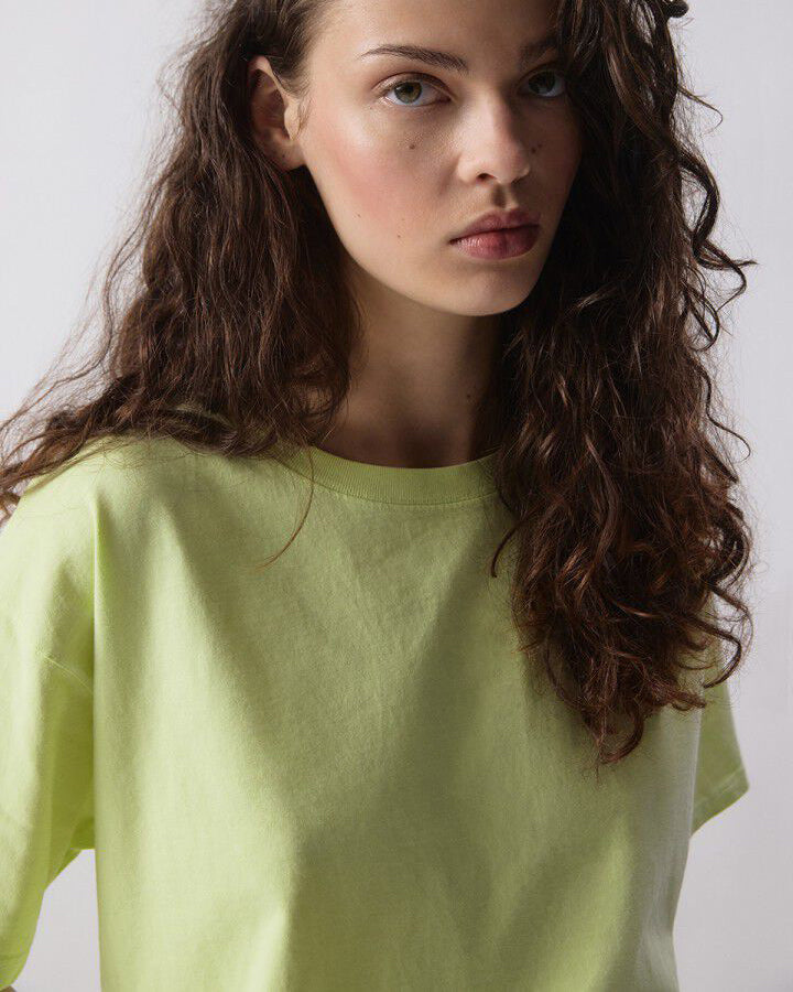Fizvalley Tee - Limelight Vintage