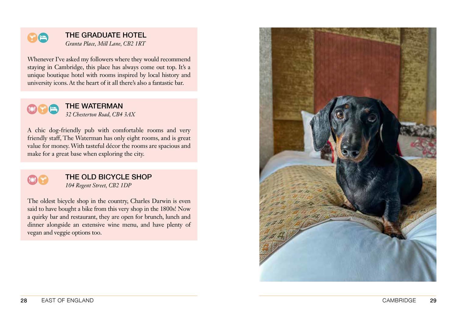 Follow My Lead: Uk Walking Adventures For You/ Your Dog