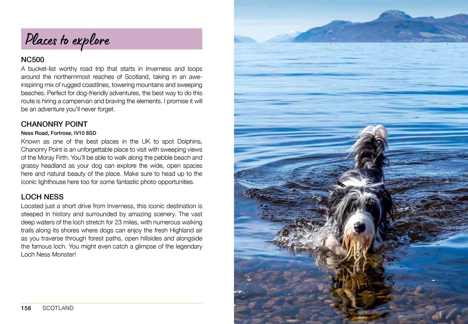 Follow My Lead: Uk Walking Adventures For You/ Your Dog