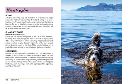 Follow My Lead: Uk Walking Adventures For You/ Your Dog
