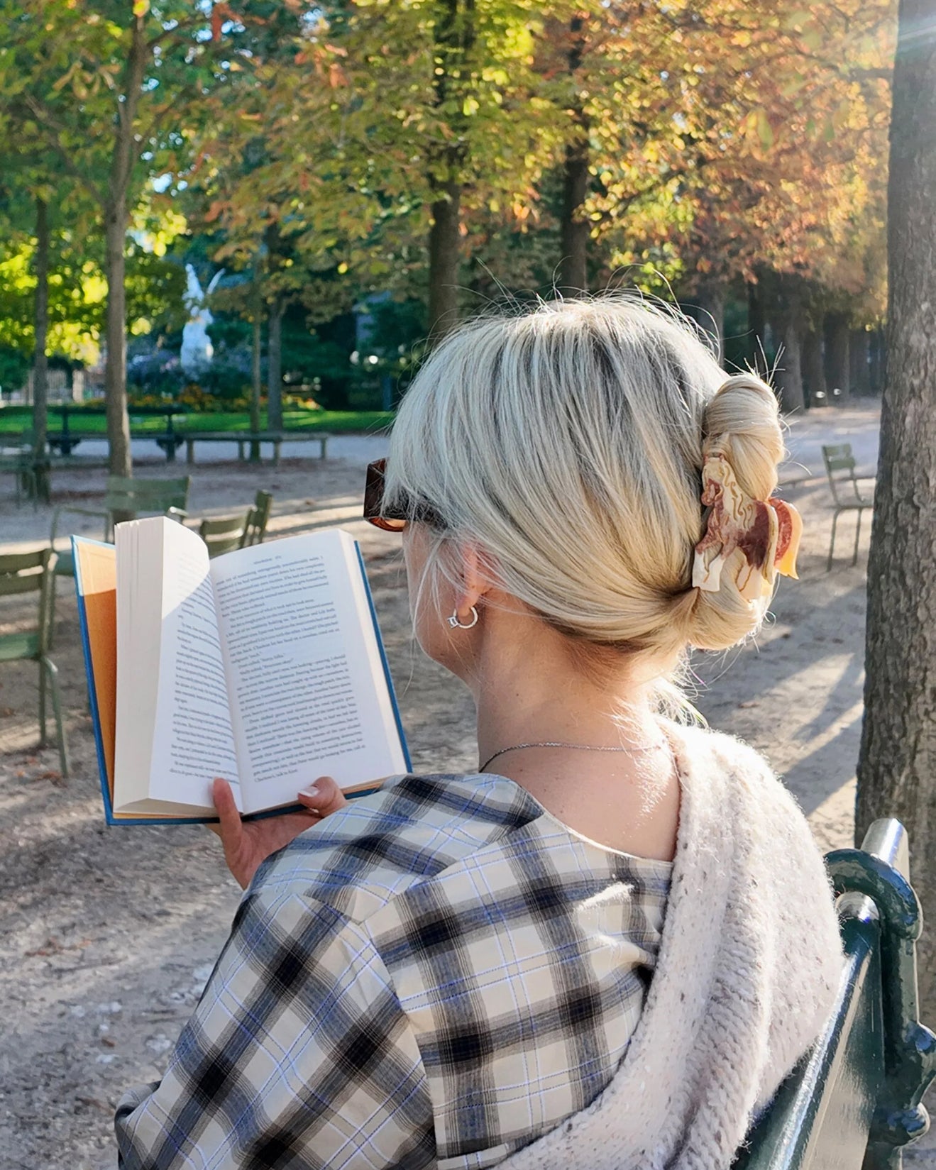 Horse Hair Clip - Brown
