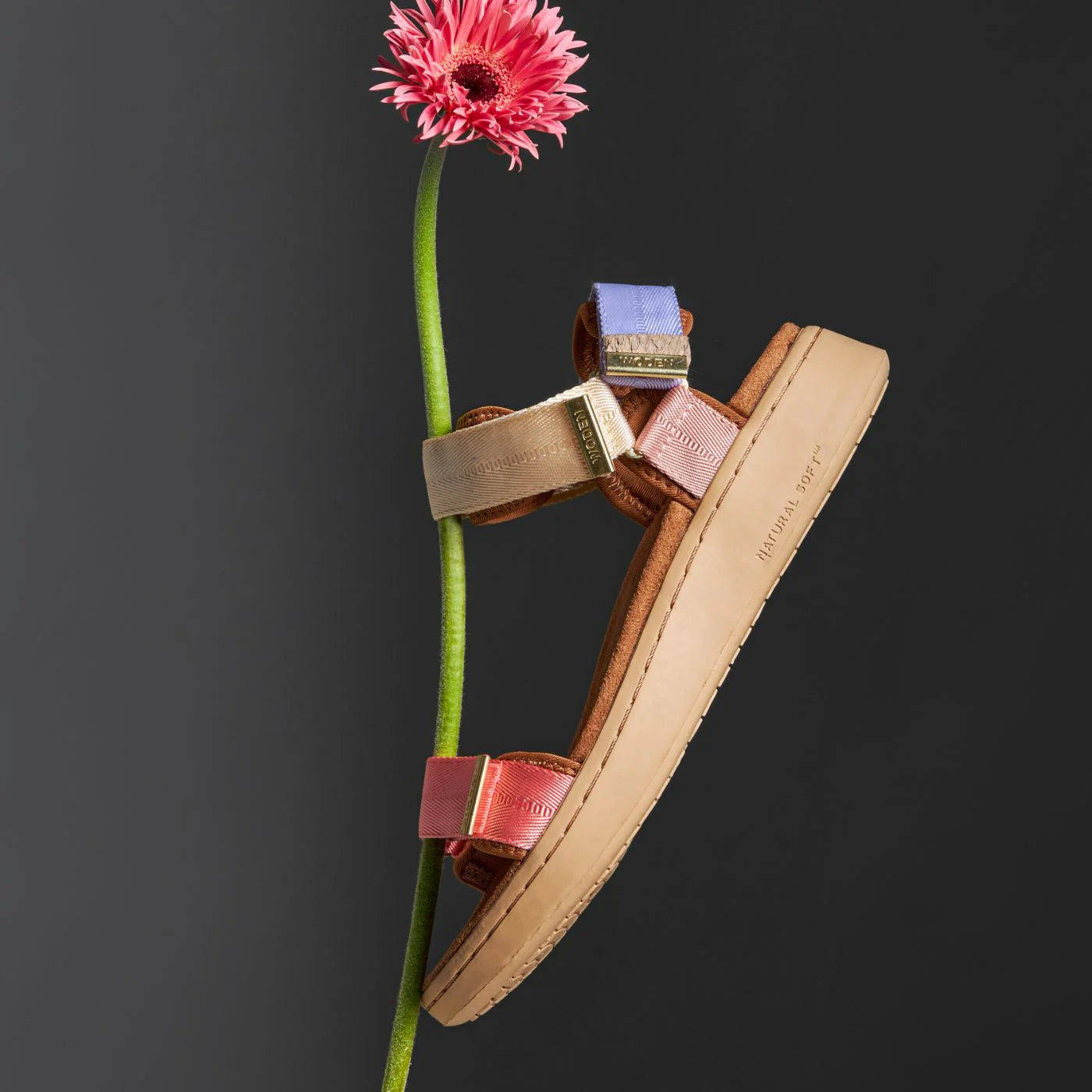 Line Sandal - Butter Multi