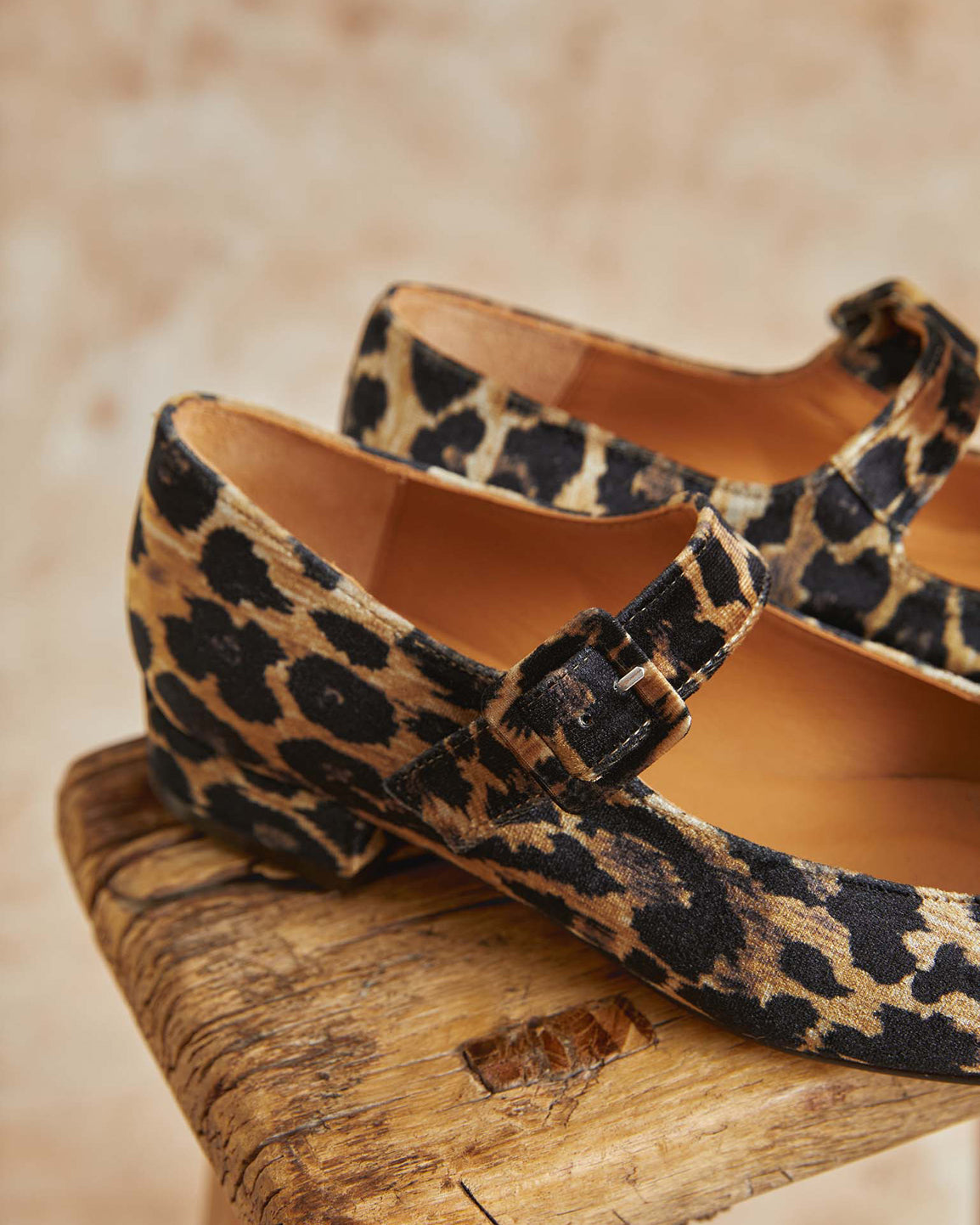 Low Mary Jane Leopard Velvet Shoe - Brown