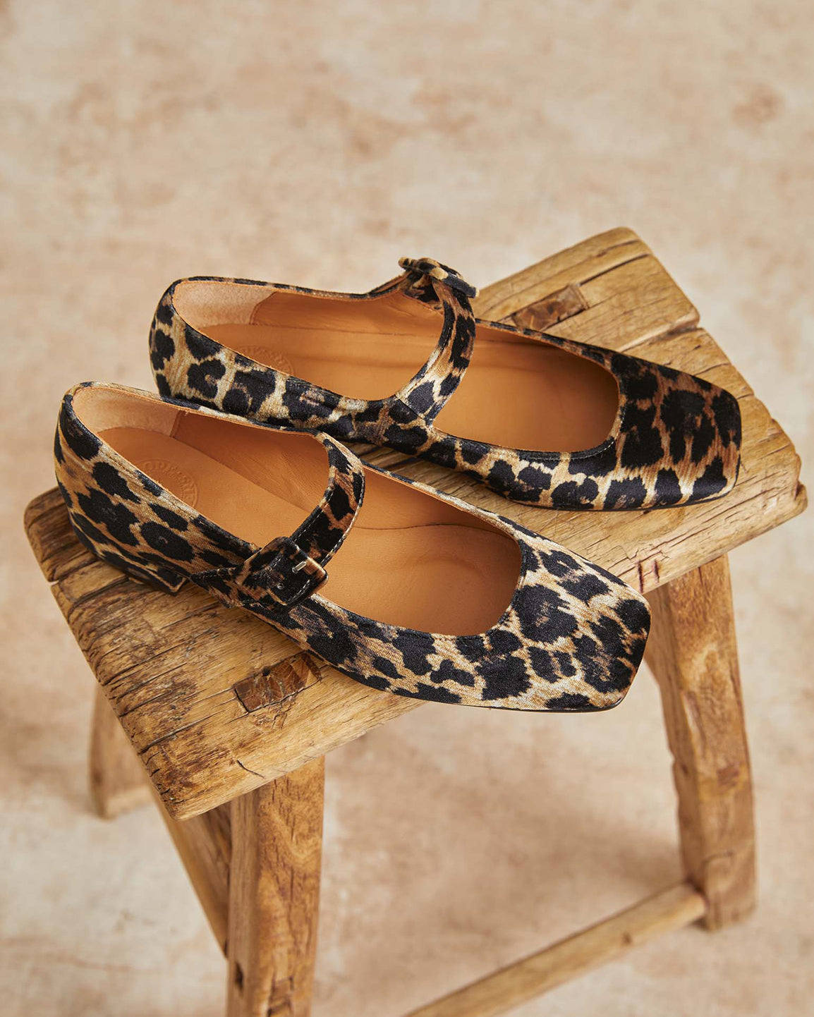 Low Mary Jane Leopard Velvet Shoe - Brown