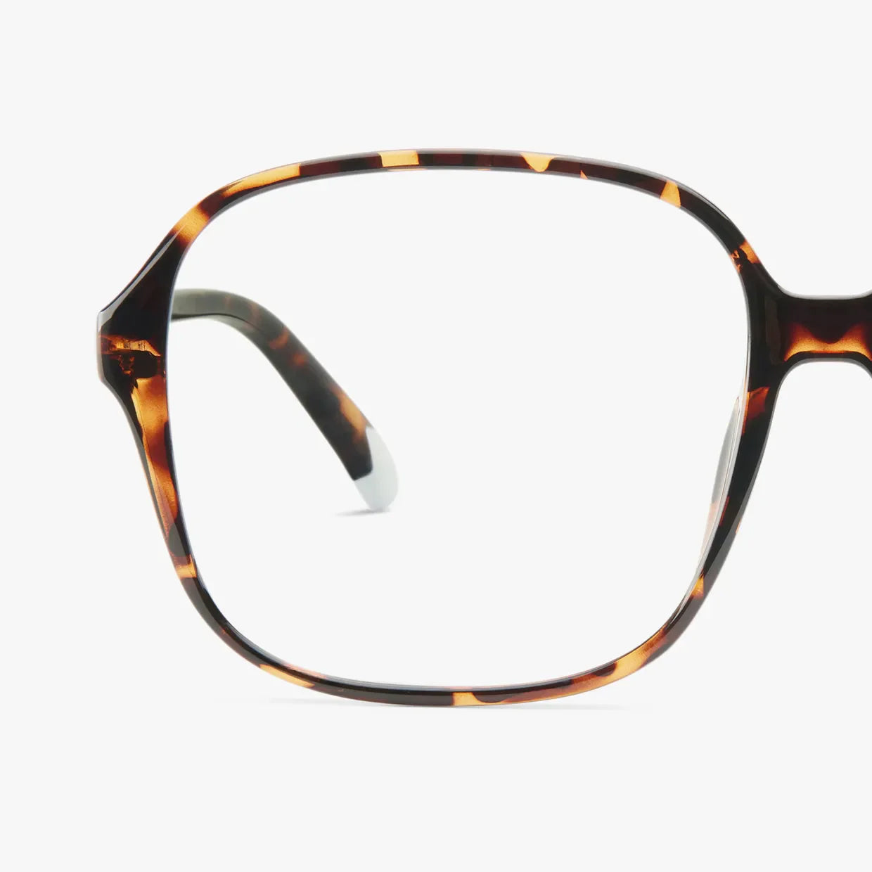 Pascal Glossy Glasses - Tortoise