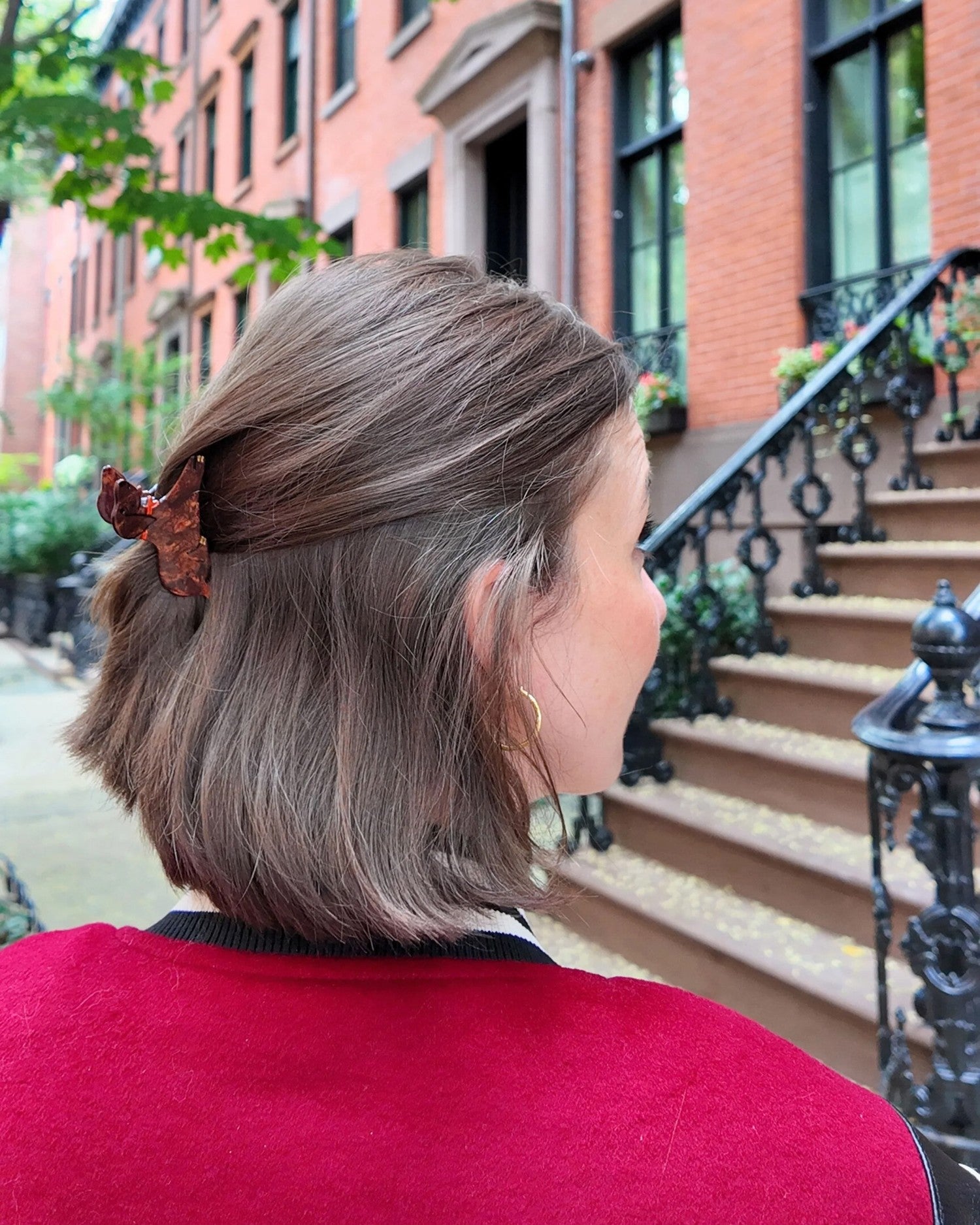 Dachshund Hair Claw - Brown