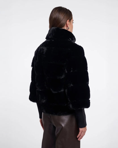 Feline Jacket With Rib Cuffs - Black