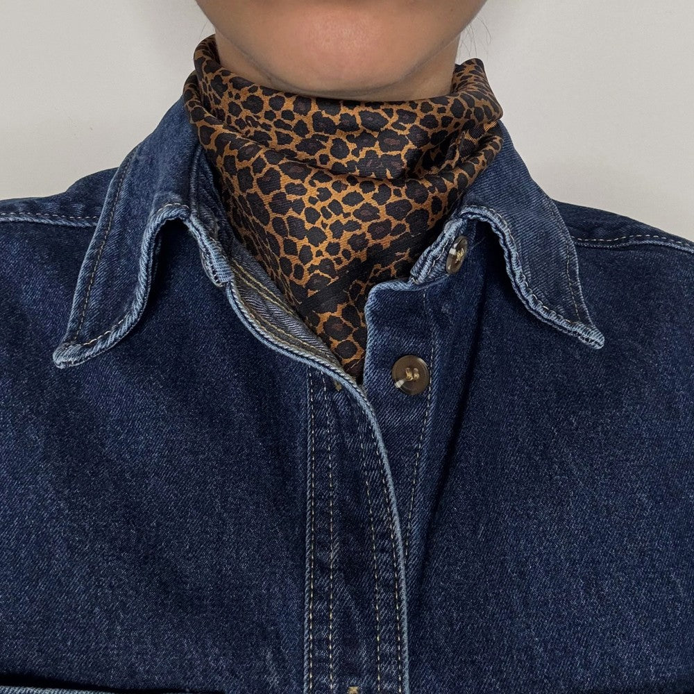 Leo Silk Scarf - Brown