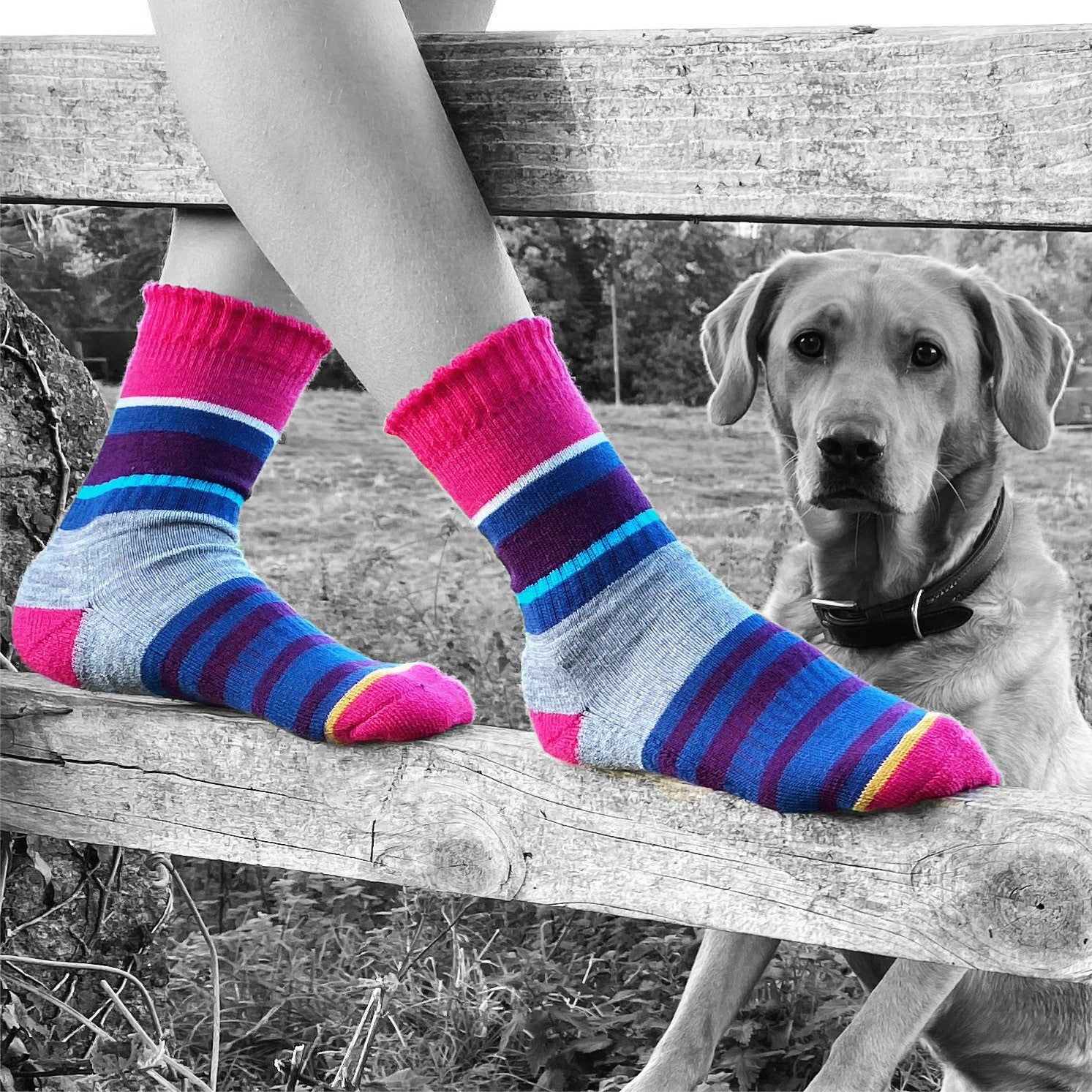 Multistripe Cushioned Sock - Cerise/Purple