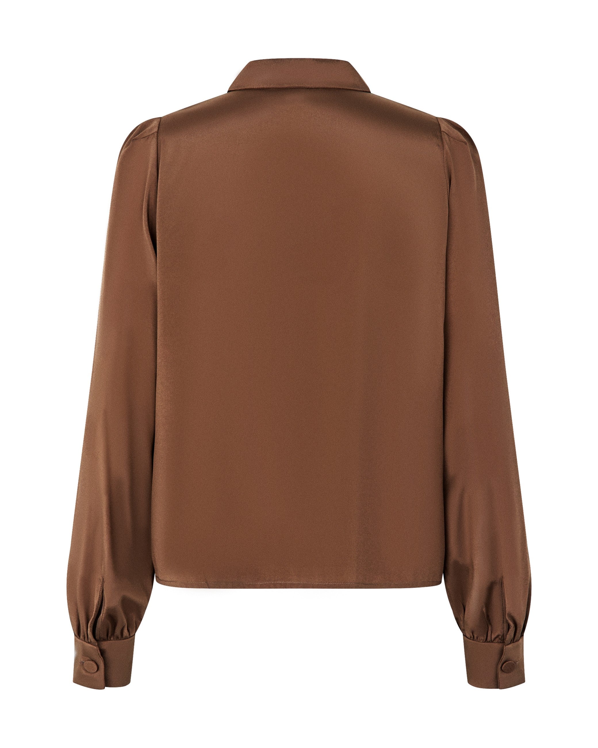 Paola Blouse With Tiny Collar - Maplewood