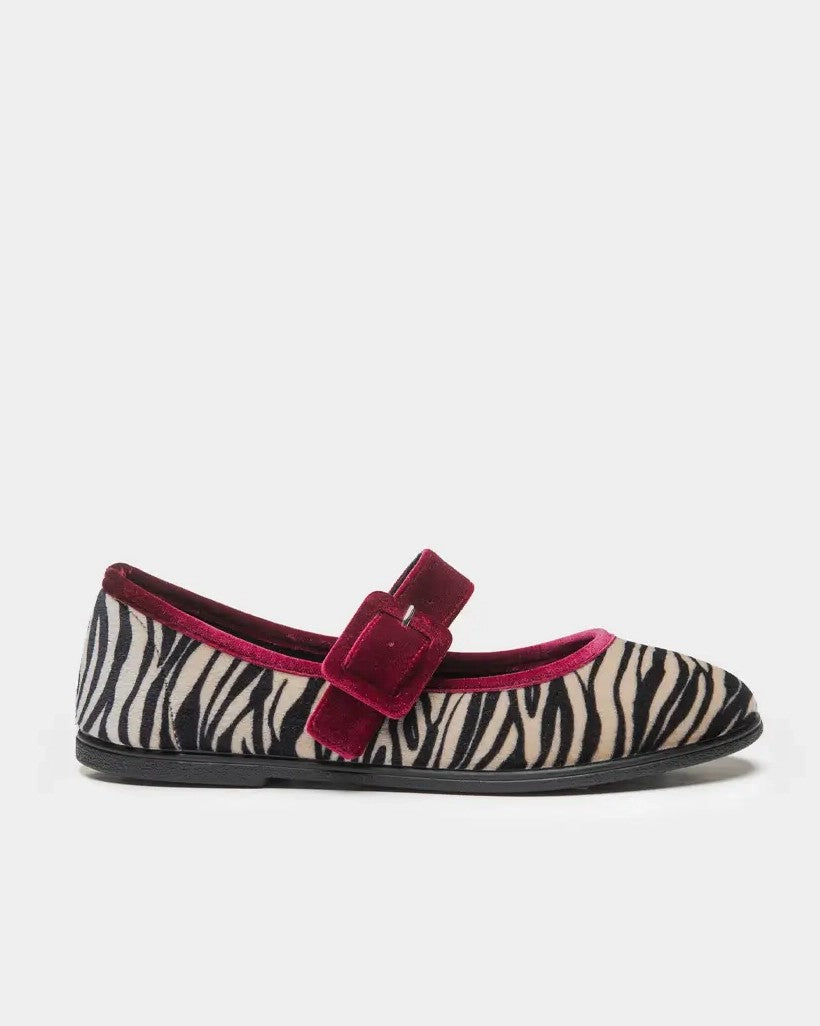 Zebra Ballet - Zebra