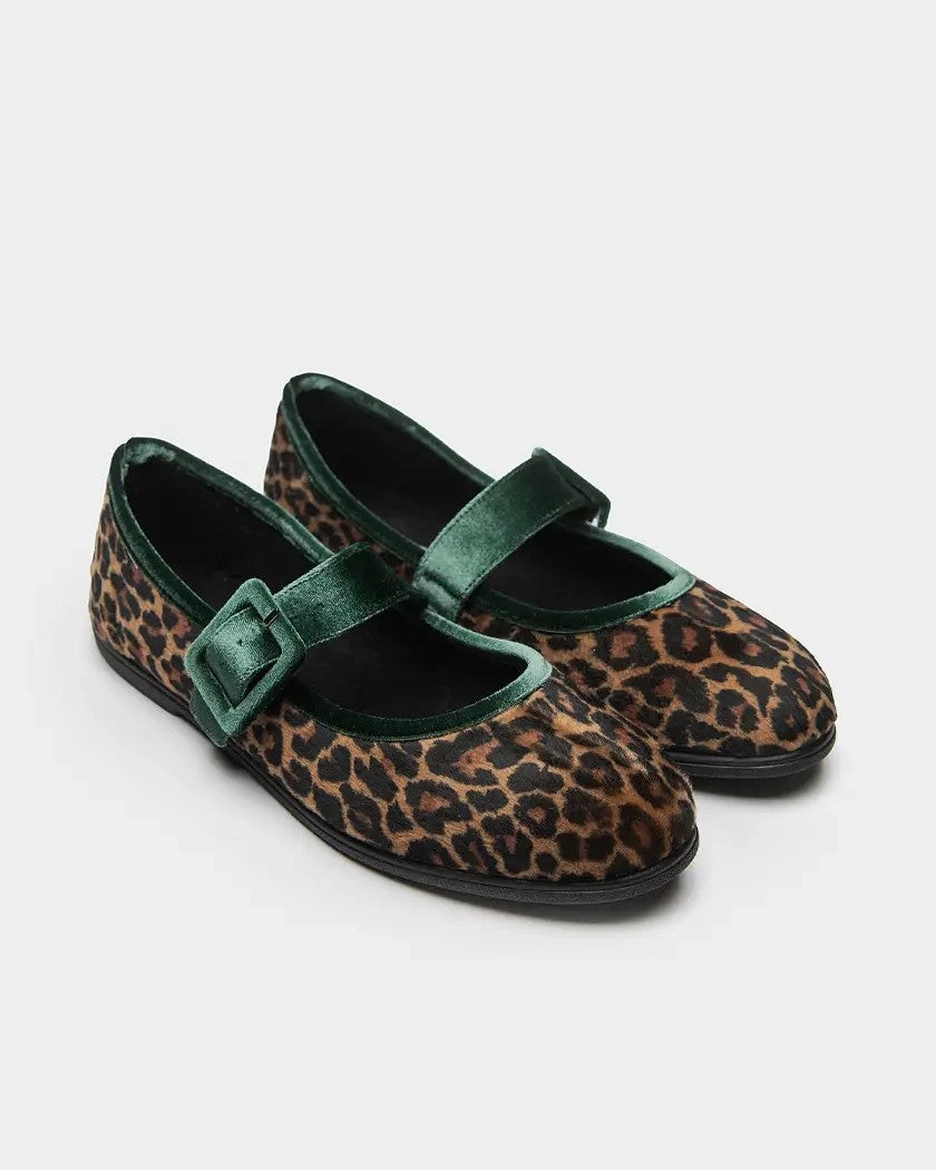 Leopard Ballet - Leopard