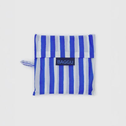 Standard Baggu - Blue Painted Stripe