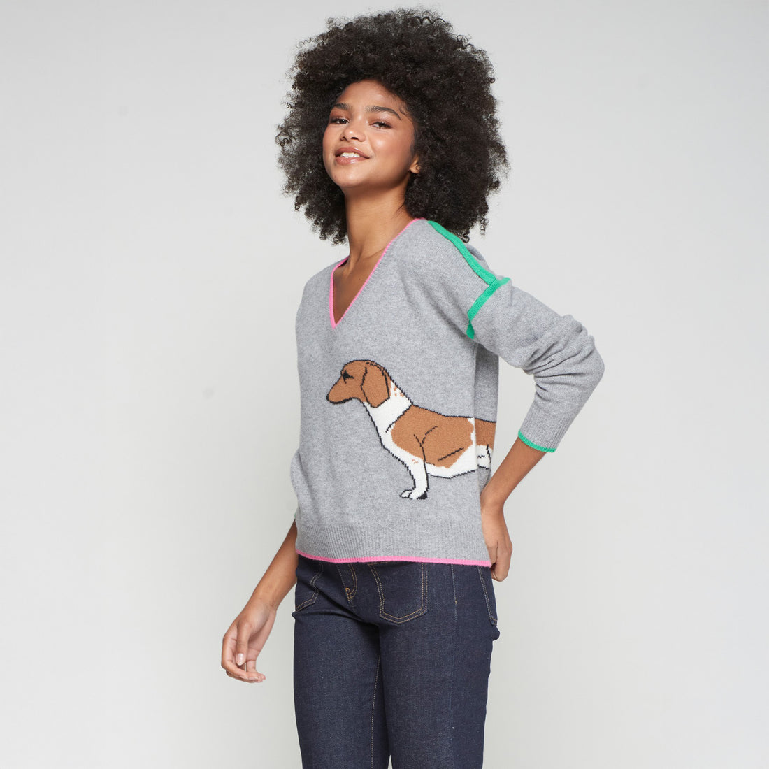 Sausage Dog V Neck Jumper - Grey