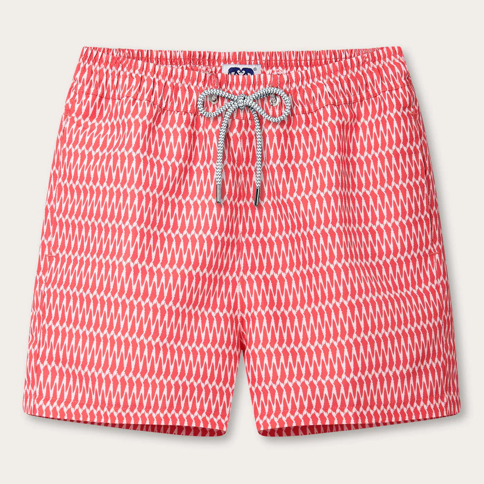 Staniel Printed Swim Shorts - Hot As Shell