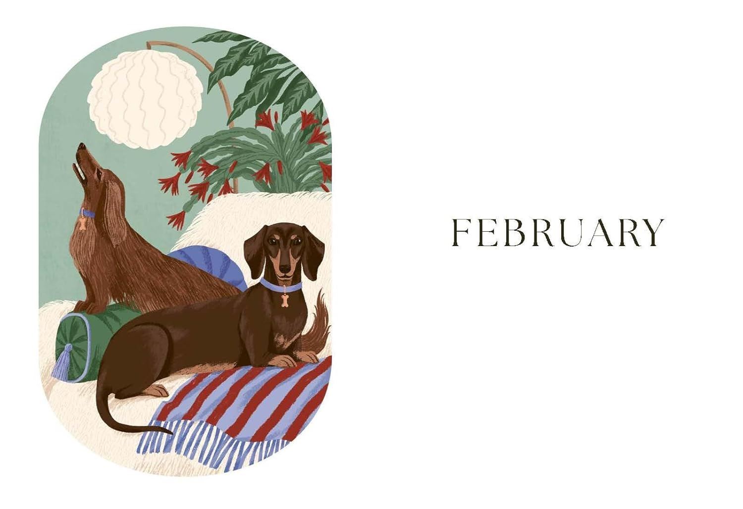 Dog Year: Dogs Magic Nature And Spells