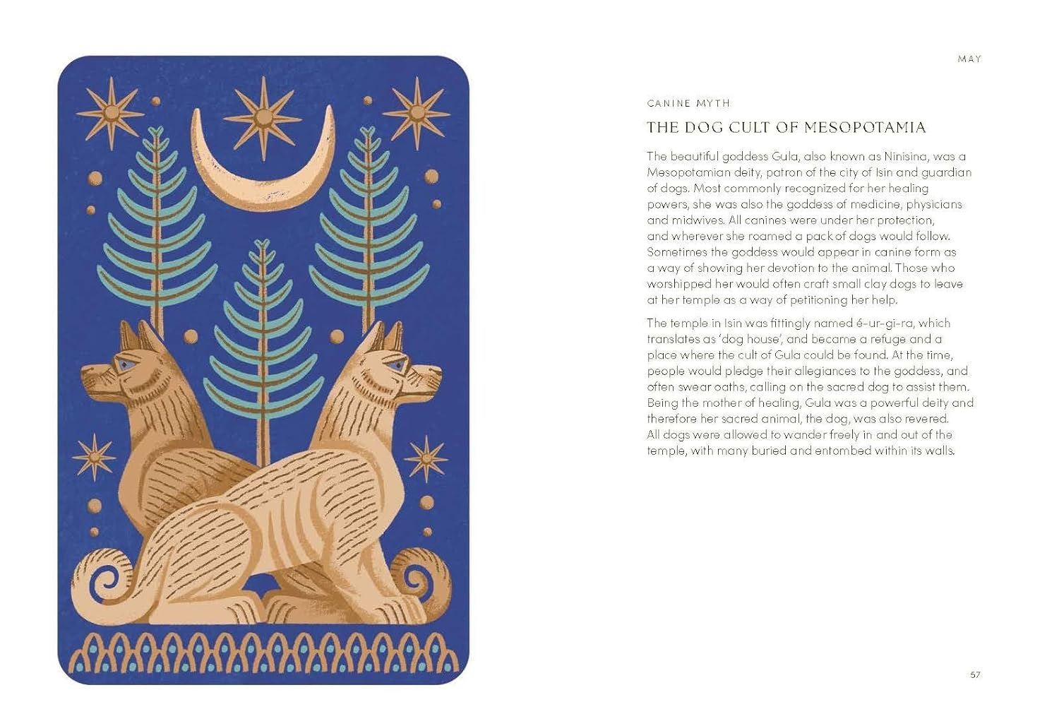 Dog Year: Dogs Magic Nature And Spells