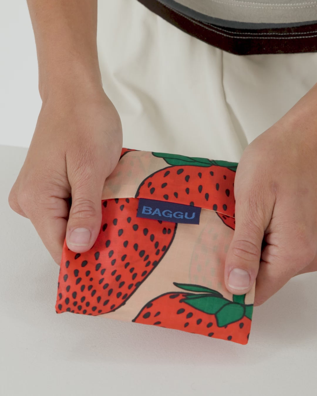 Standard Baggu - Strawberry